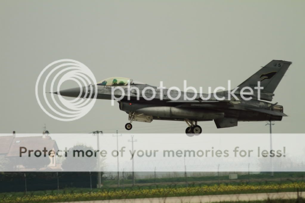 IMG_0635900.jpg