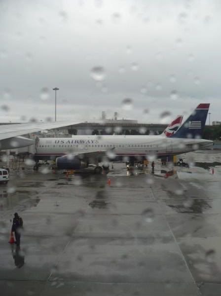 P1020140-1.jpg