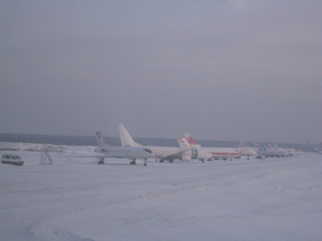 133.jpg