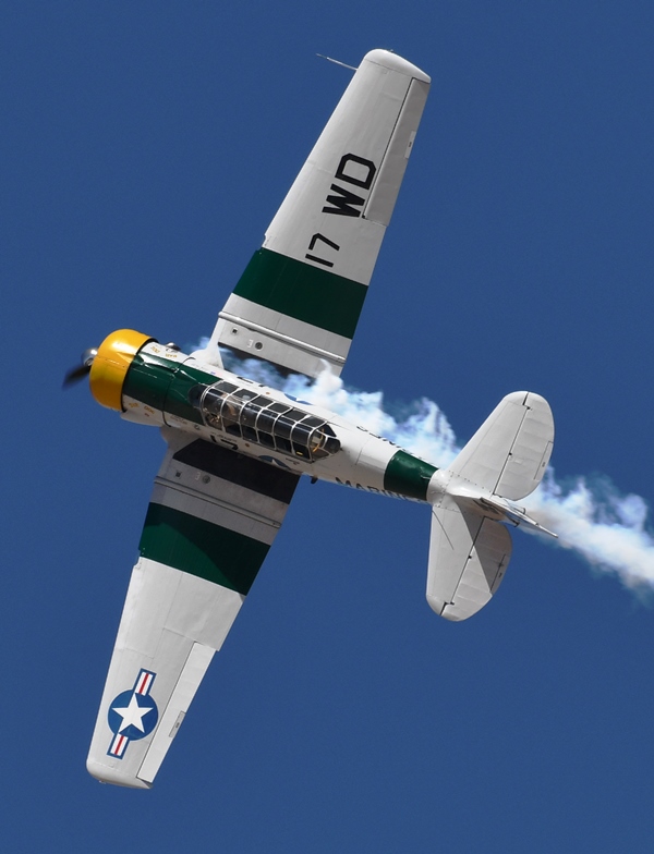 52023887599_c1b8193d02_o.jpg