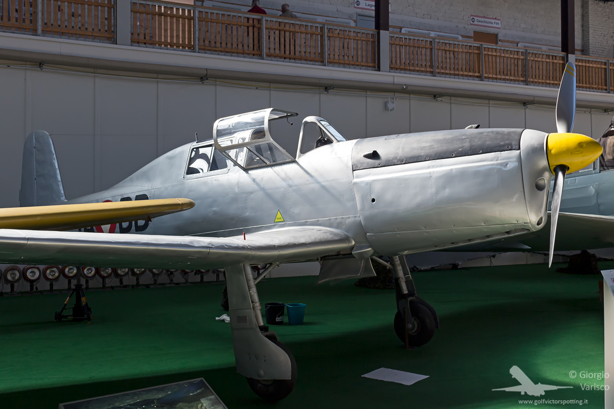 _MG_3453_050919.jpg