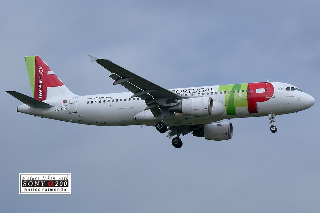 Airbus-A320-TAPIIIBLQ.jpg