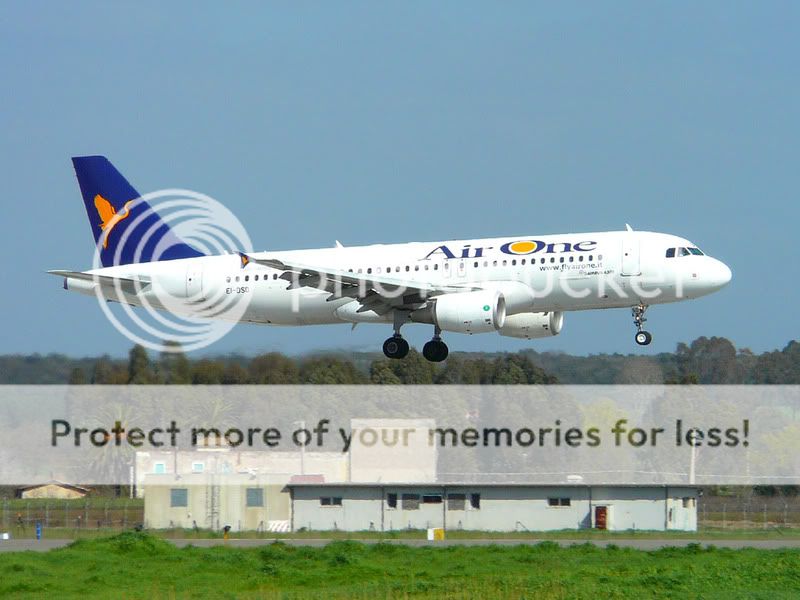 airone.jpg