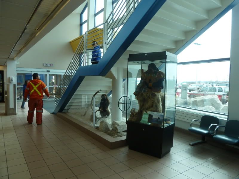 P1170055.jpg