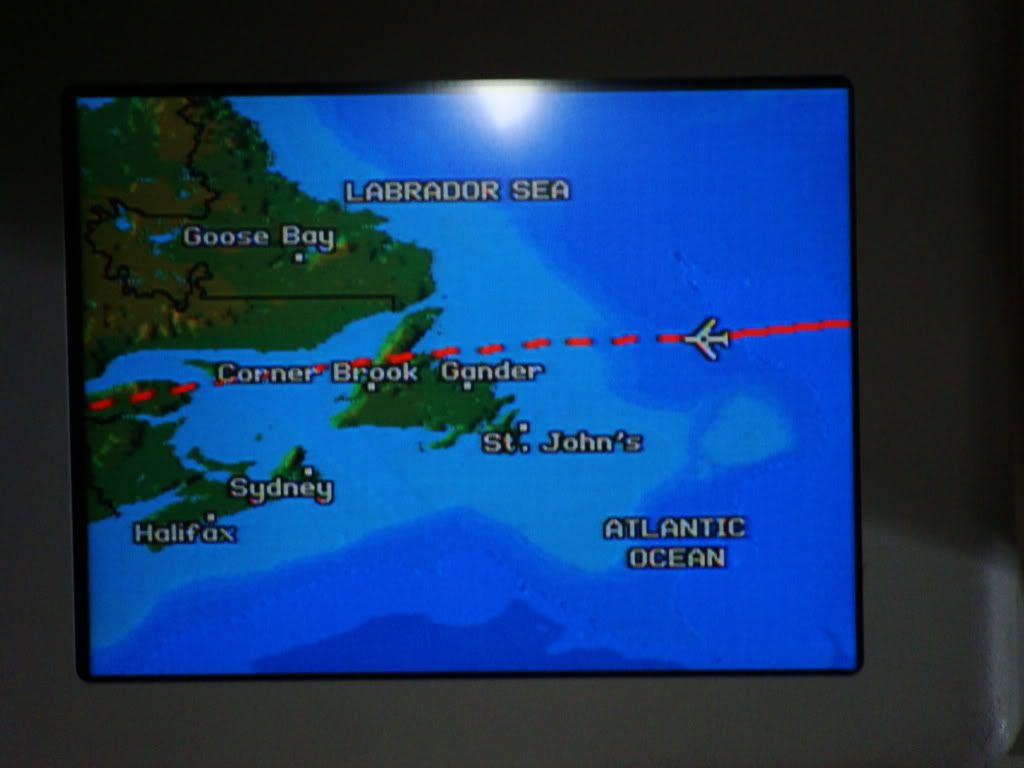 DSC09858.jpg