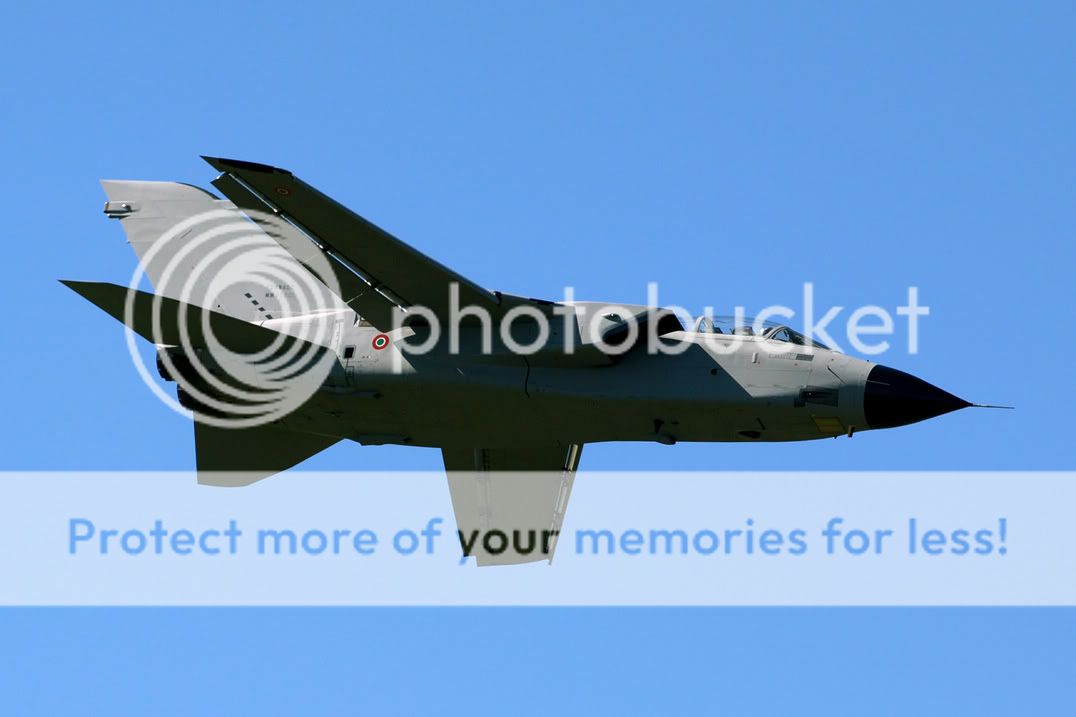 DSC_0016.jpg