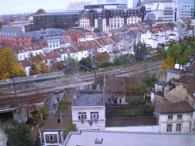 PB040138.jpg
