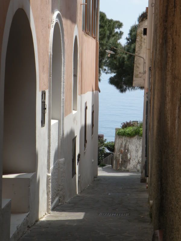 DSCN8127.jpg