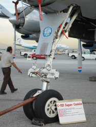 lax_c-121c-03t.jpg
