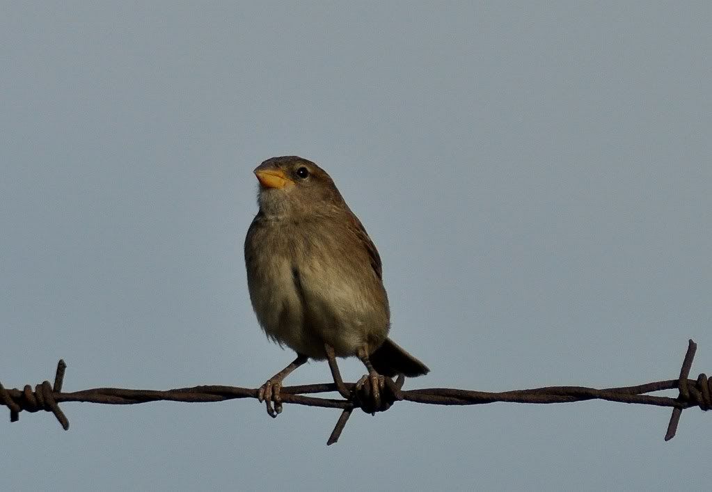 DSC_3541.jpg