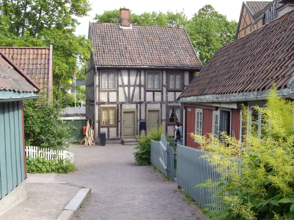 IMGP2879.jpg
