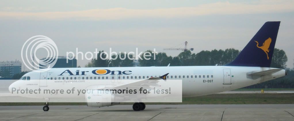 airone.jpg