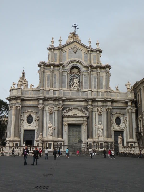 DSCN8271.jpg