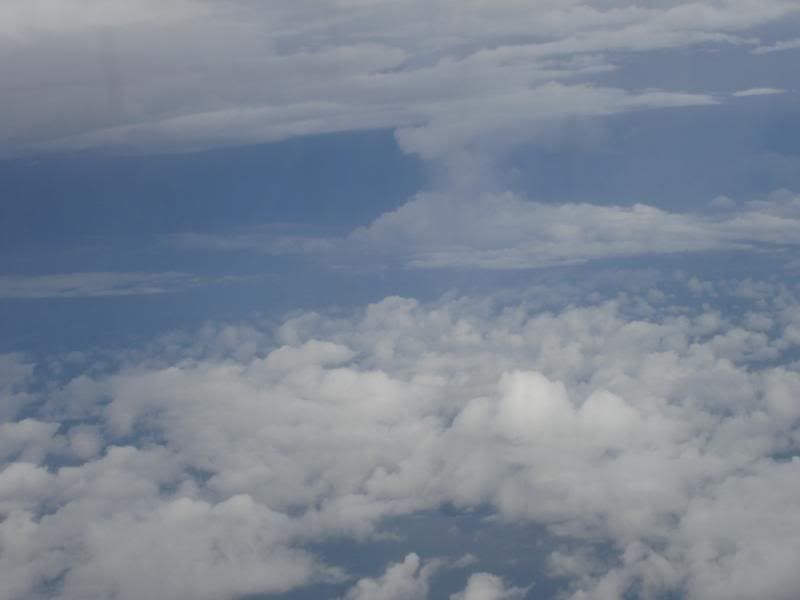 DSC03183.jpg