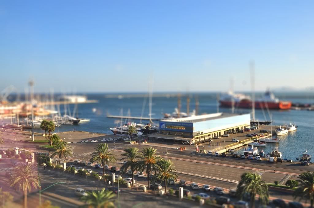DSC_0238-tiltshift2.jpg