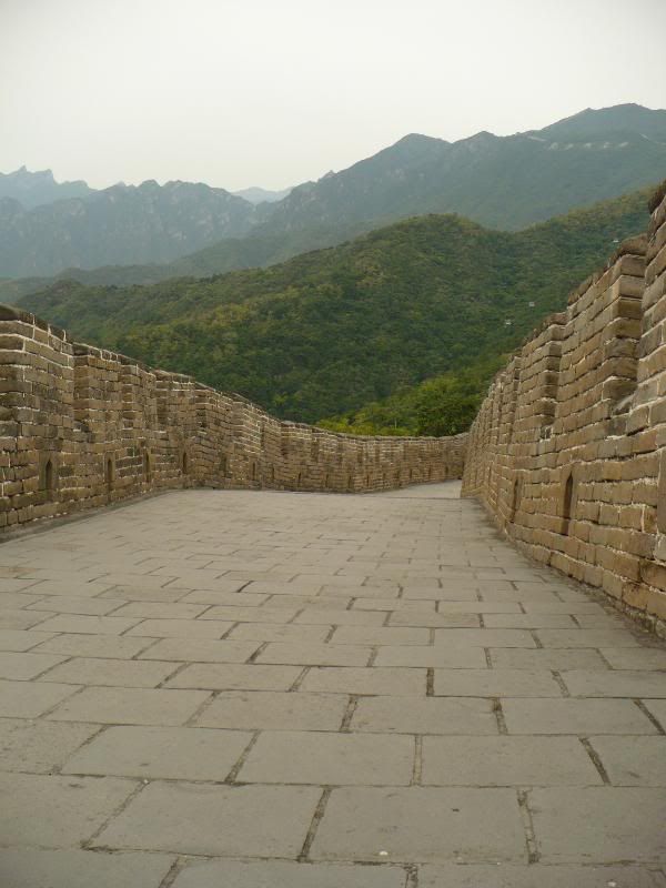 P1010877.jpg