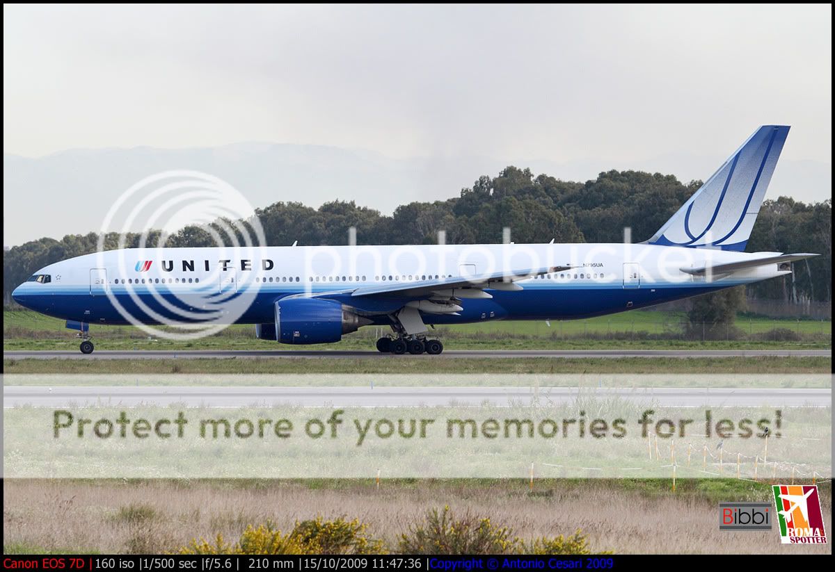 041_n795ua__BIBBI.jpg