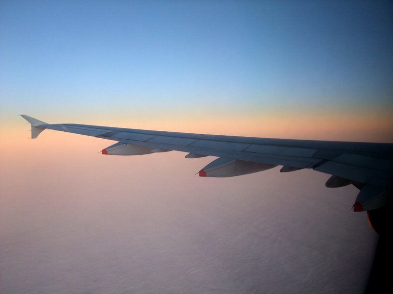 DSCF8982.jpg