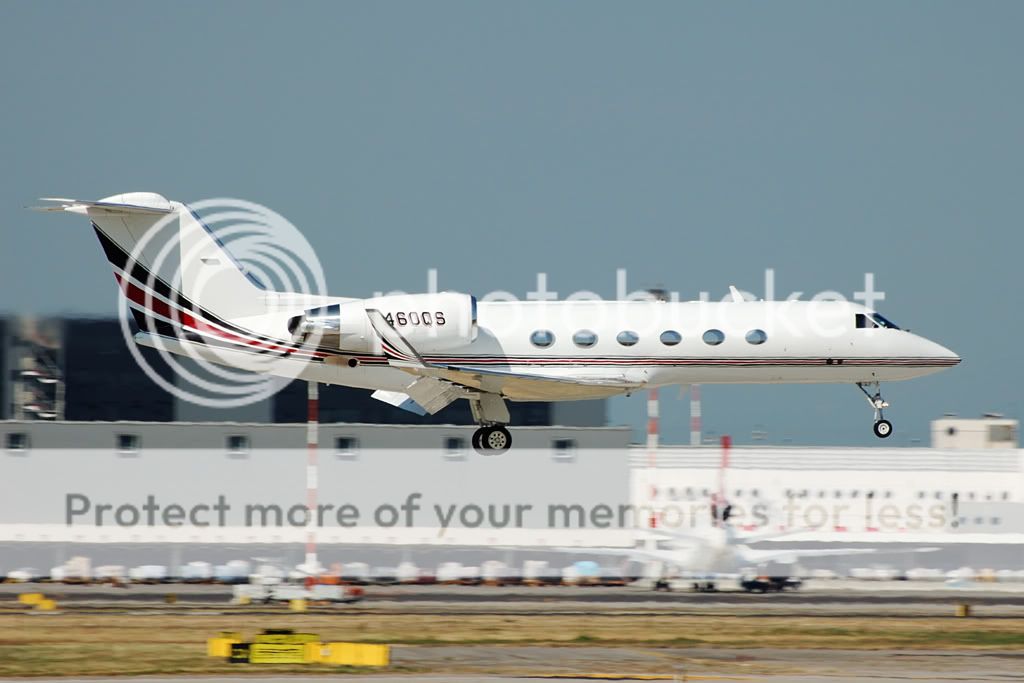 DSC_3553.jpg