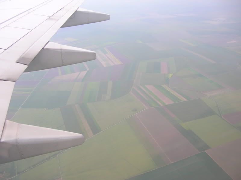 DSCN6675.jpg