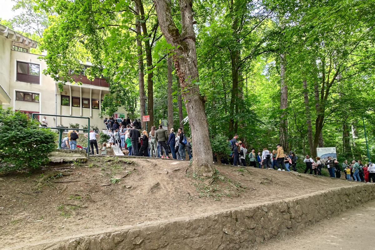 197.jpg