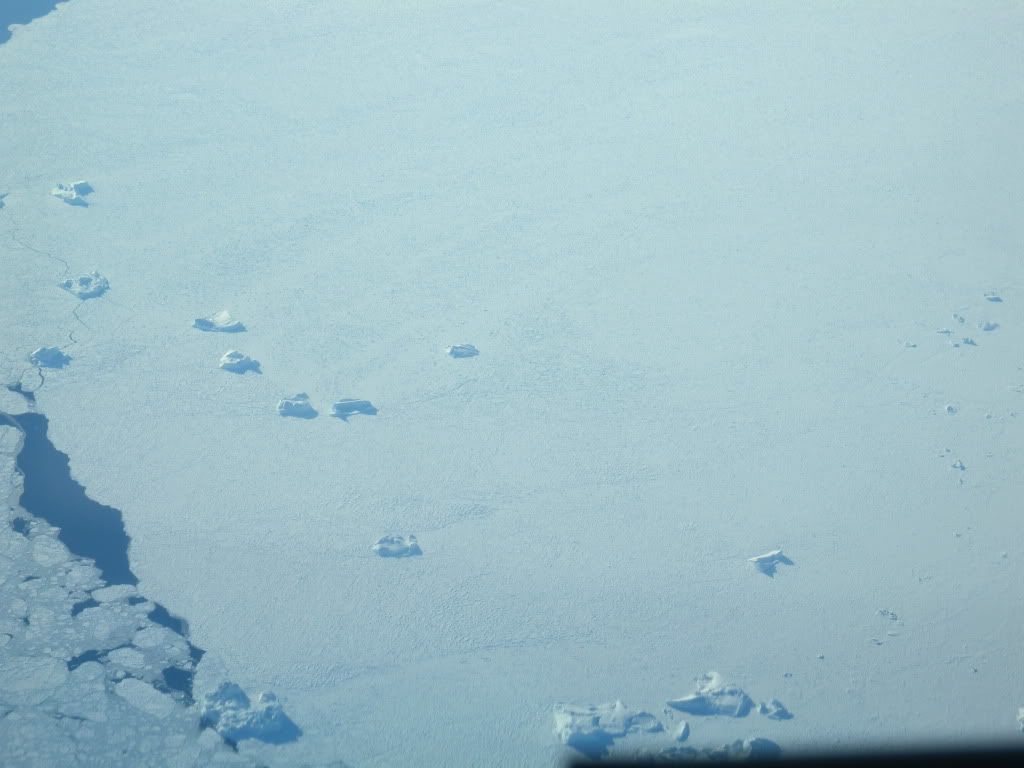 DSCN1120.jpg