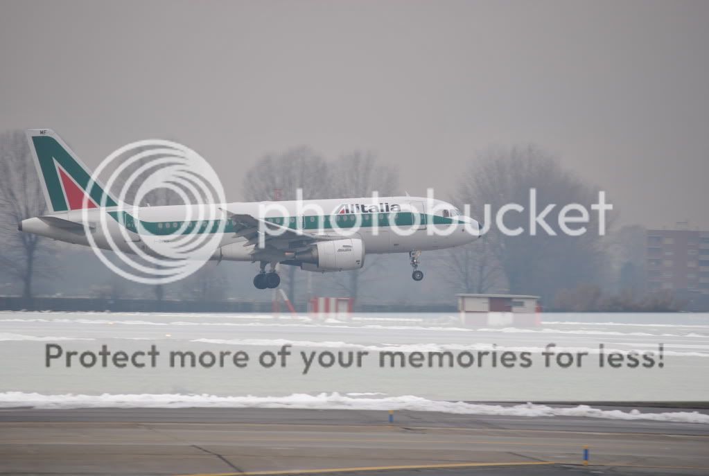 DSC_0168.jpg