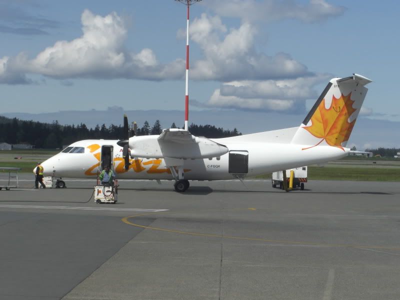 CIMG7203.jpg