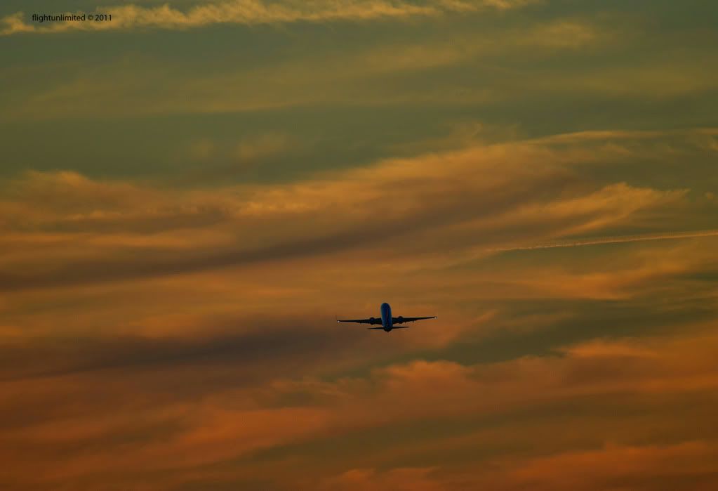 DSC_0357.jpg