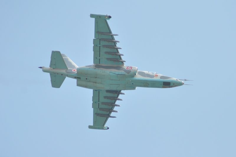 DSC_3064_zps4ys7oiig.jpg