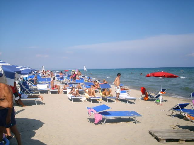 IMG_0355.jpg