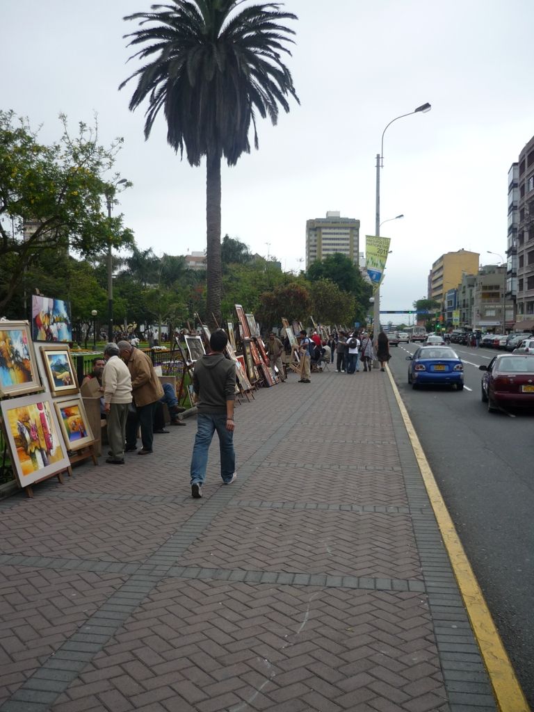 P1010524.jpg
