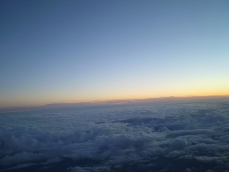 P2210225.jpg