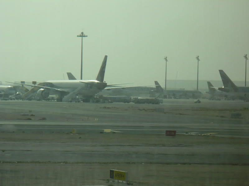 P1020151.jpg