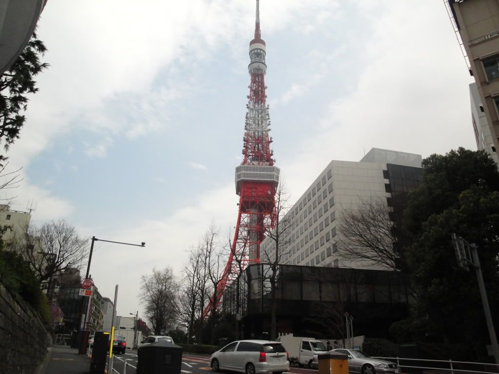 DSC01779.jpg