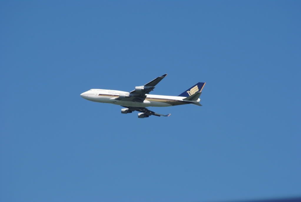 DSC_0046.jpg