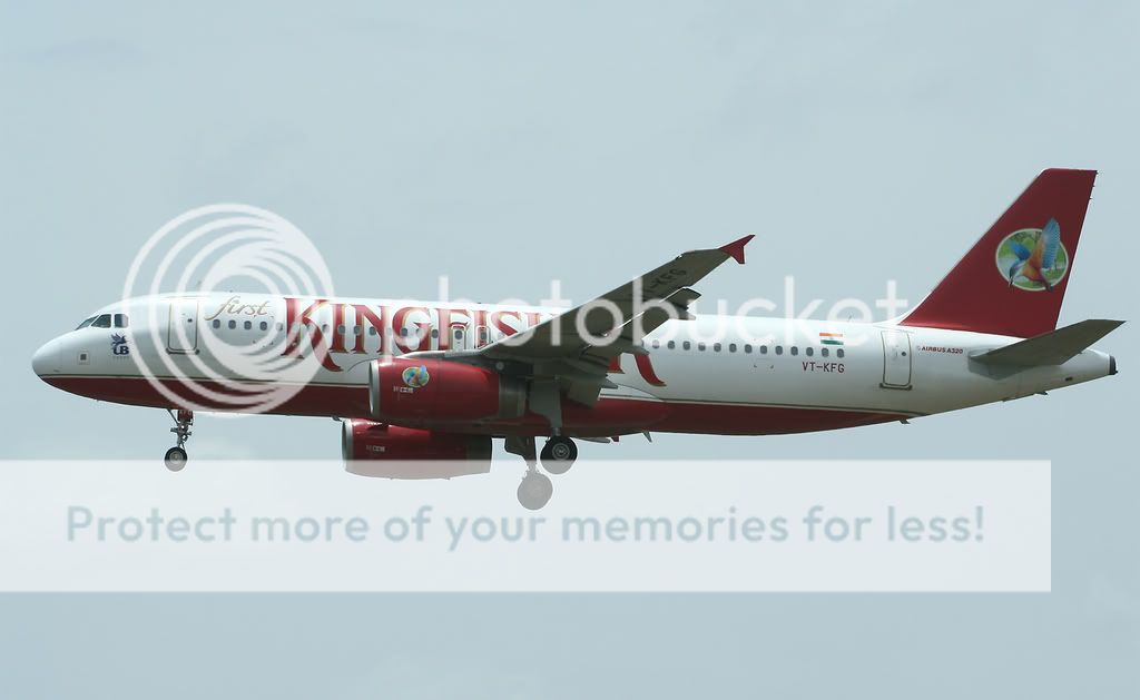 014-KINGFISHER-VT-KFG-A3206.jpg