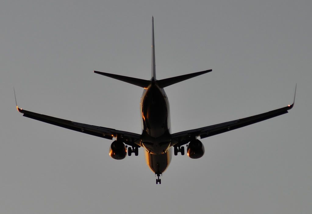 DSC_0076-2.jpg