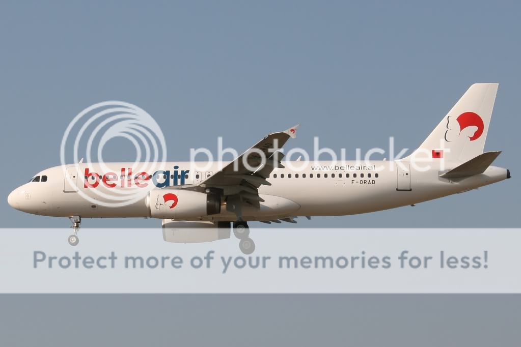 BELLE320.jpg