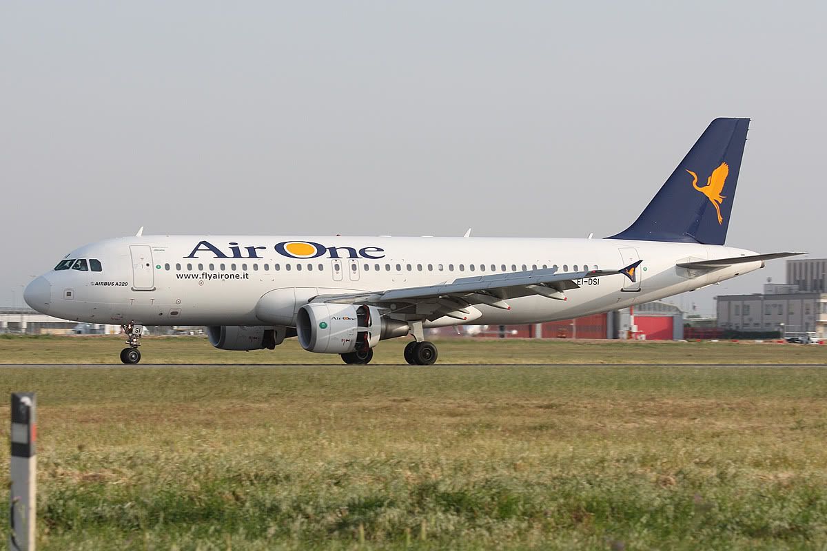 3156.jpg
