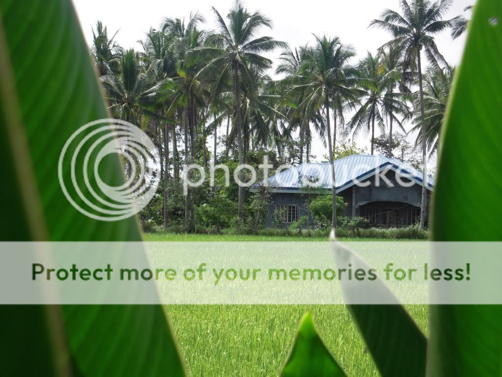DSCN0738.jpg