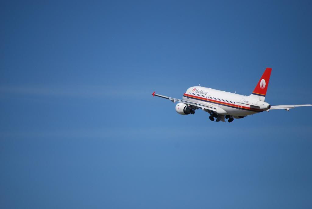 DSC_0186.jpg