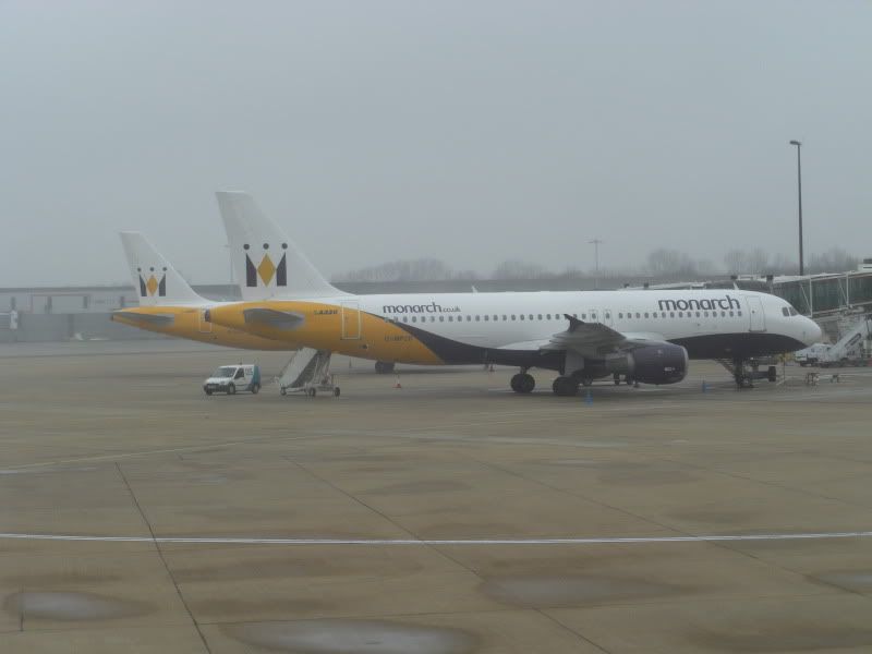CIMG8002.jpg