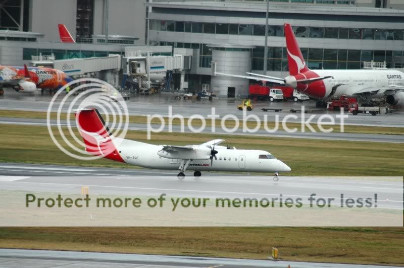 DSC_7988.jpg