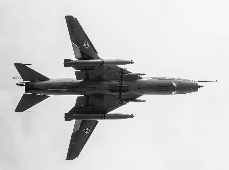 54793243296_ffea59041e_c.jpg