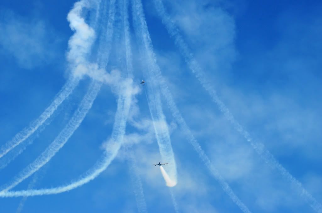 DSC_00382.jpg