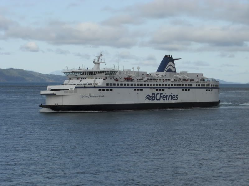 CIMG7935-1.jpg