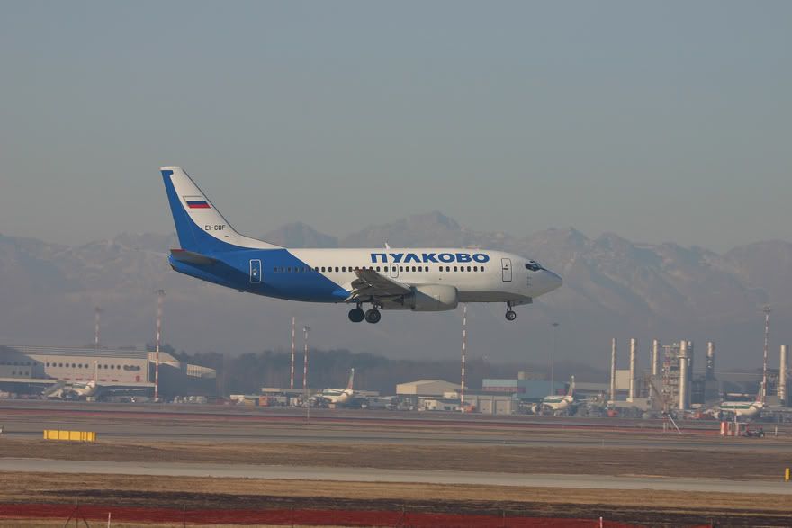 IMG_3140V.jpg