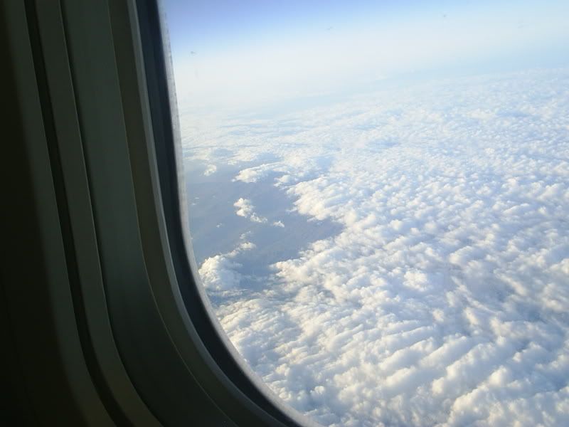 S3010202.jpg