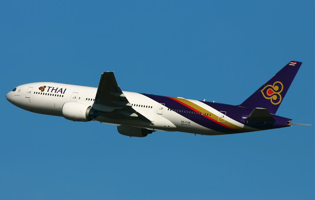 251.jpg